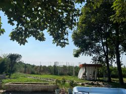 -DORA kids 朵拉儿童摄影花园店