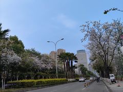 -桂溪生态公园