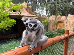 -北京野生动物园