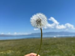 -赛里木湖风景名胜区