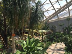 iphone_upload_pic-西安世博园