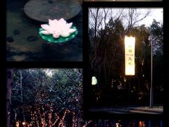 -西湖天地