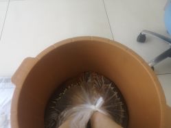 -派恩宜灰指甲鸡眼嵌甲手足癣