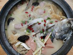 -老字号怡玺·藿香雅鱼(20年雅安店)