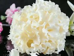 绣球菌-牛New寿喜烧(金茂览秀城店)