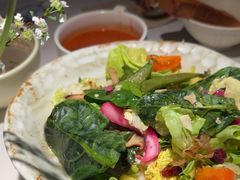 -春树下·树屋花房西餐厅(罍街AS1980店)