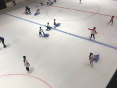 -TheRink大零溜冰场(IFS国金中心店)