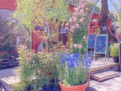 -萤火虫咖啡(后海店)