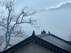 -九华山风景区
