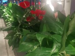 -管氏翅吧(台湾街店)