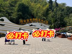 -西双版纳原始森林公园