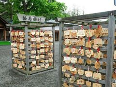 -北海道神宫