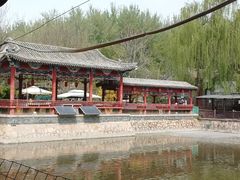 -尚庄度假村·庭台树下·户外烧烤·团建CS·轰趴营地(上庄水库店)