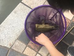 -酷鱼垂钓CLUB(朝阳区博大路店 )