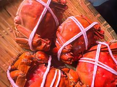 -蟹天蟹地农家菜·阳澄湖大闸蟹(浅水湾店)