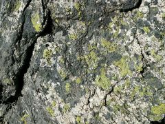 -终南山国家森林公园