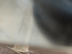 -珍记海鲜粥·海鲜粉