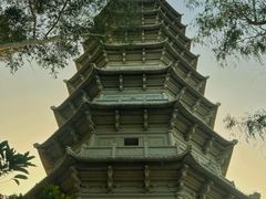 -深圳国际园林花卉博览园