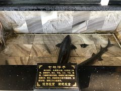 -营信刘罗锅铁锅炖(建华店)