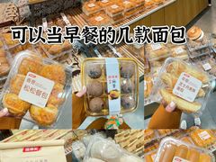 -洛阳郁金香牡丹园