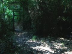 -终南山国家森林公园