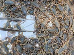 -登州市场(登州路店)