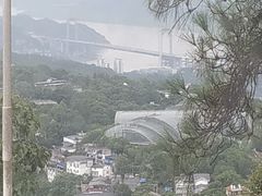 -大金鹰园