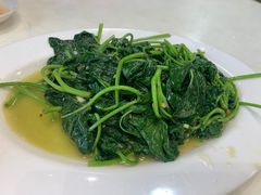 -日日香卤鹅饭店·澄海狮头鹅(澄海店)