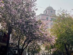 -煲煲掂风味煲仔饭餐厅(西区店)