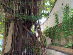 -乌山风景区