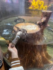 -Zoolung Zoolung动物主题公园(海信广场店)