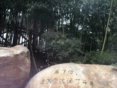 -观唐（国际）度假村温泉