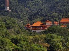 -深圳仙湖植物园