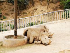 -泉州海丝野生动物世界