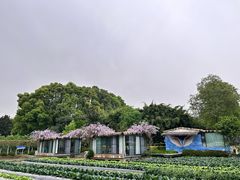 -洪湖家庭农场·团建·露营·会议