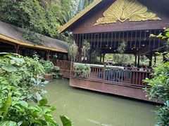 -西双版纳原始森林公园