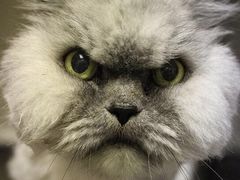 -周黑鸭(天津西青区中北永旺店)