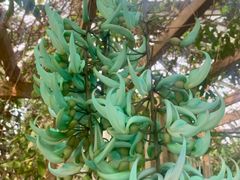 -华南国家植物园-售票处