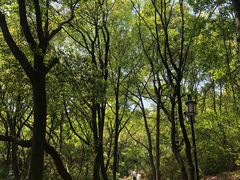 -苏州上方山国家森林公园