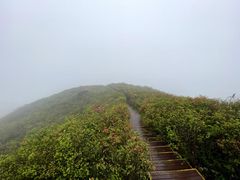 -大围山国家森林公园
