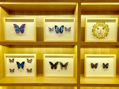 -艾溪湖湿地公园