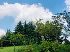 -复旦大学江湾校区食堂