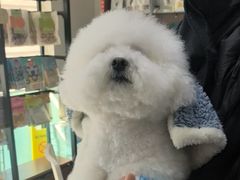 -心仪动物医院·牙专科·肿瘤·心脏科(西客站院)