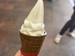 -富豪雪糕车流动点(尖沙咀店)
