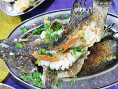 -板桥海鲜广场11排2号