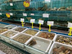 水产区-海岛渔村大酒店(云霄路店)