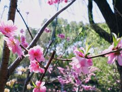 -圩墩遗址公园