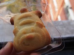 金钻土凤梨酥-糕熊高雄伴手礼凤梨酥