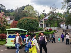 -中国大熊猫保护研究中心雅安碧峰峡基地