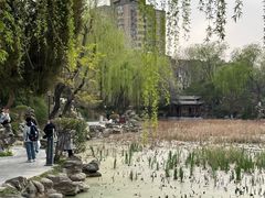 -莲湖公园